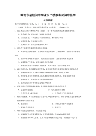 2025年潍坊市诸城初中学业水平模拟考试初中化学