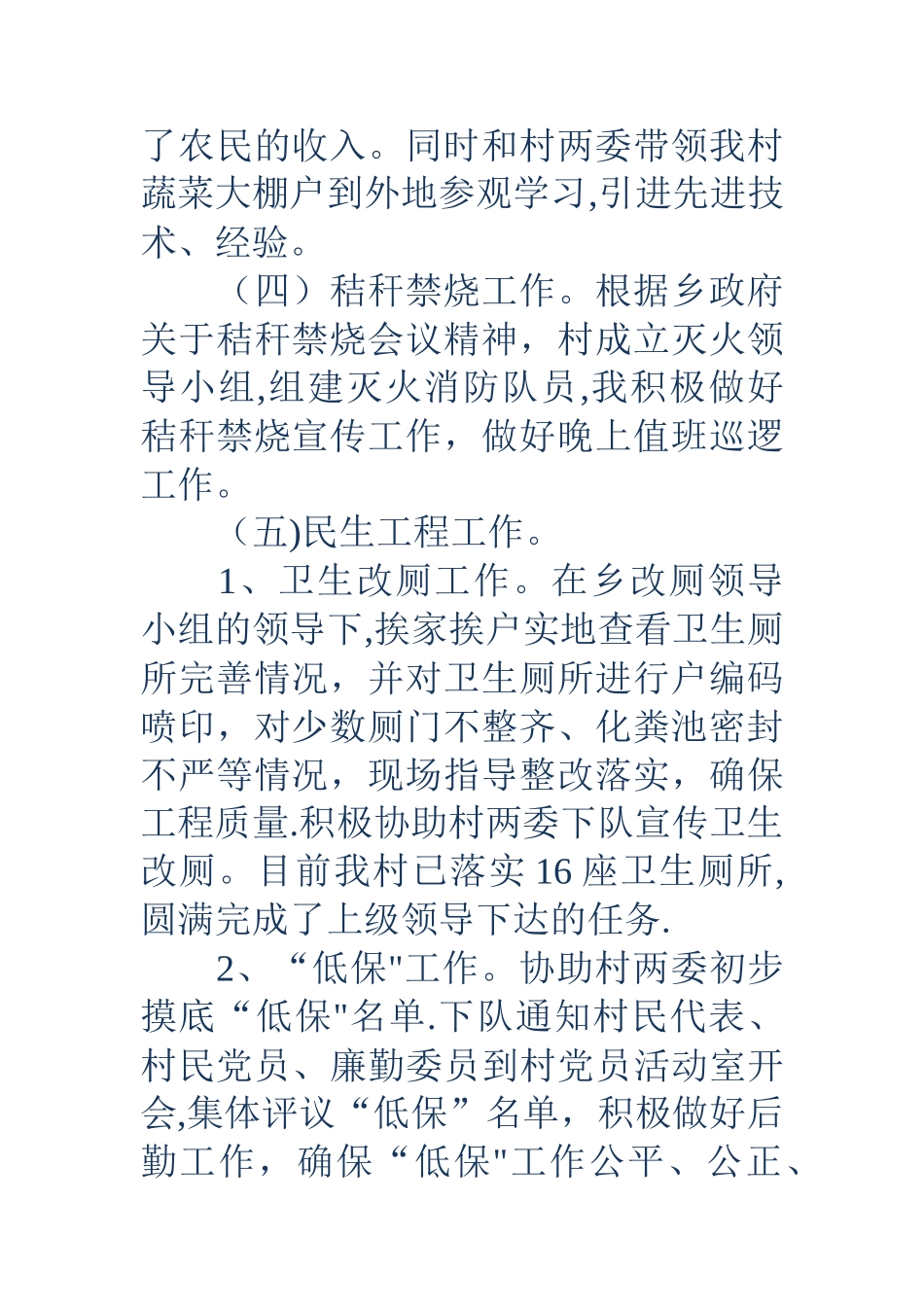村主任年度工作总结_第2页
