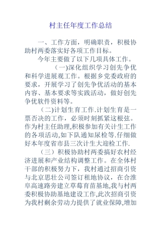 村主任年度工作总结