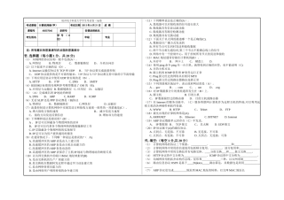 杭电2024计算机网络试卷