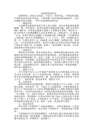 板栗树管理技术