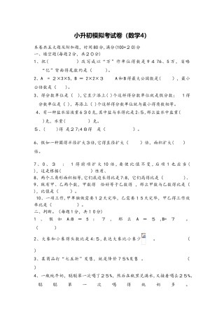 2025年六年级下册数学小升初模拟试题