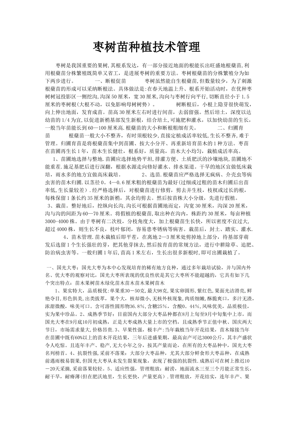 枣树苗种植技术管理_第1页