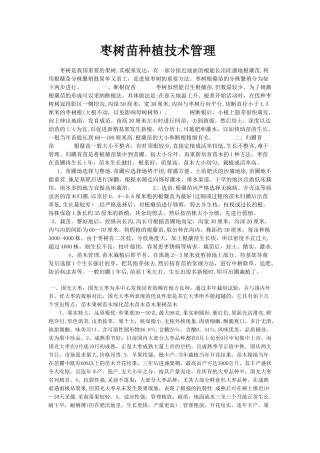 枣树苗种植技术管理