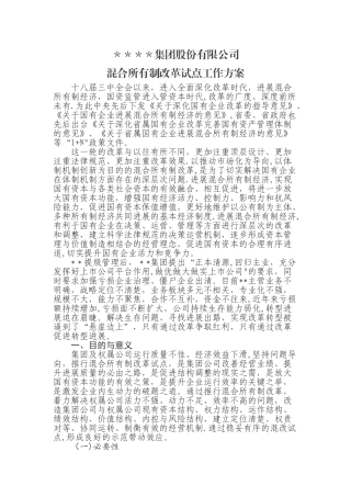 某公司混合所有制改革试点工作方案