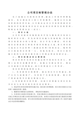某公司项目制管理办法全案