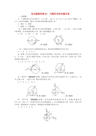 2025年中考数学总复习圆考点跟踪突破20与圆有关的位置关系试题