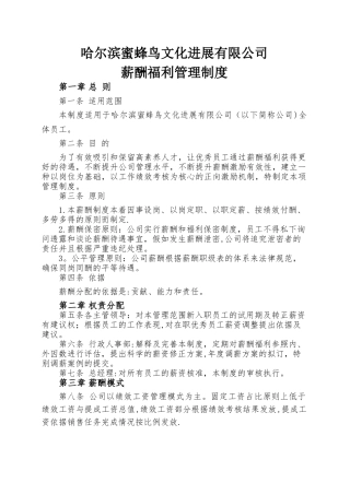 某文化发展公司薪酬管理方案