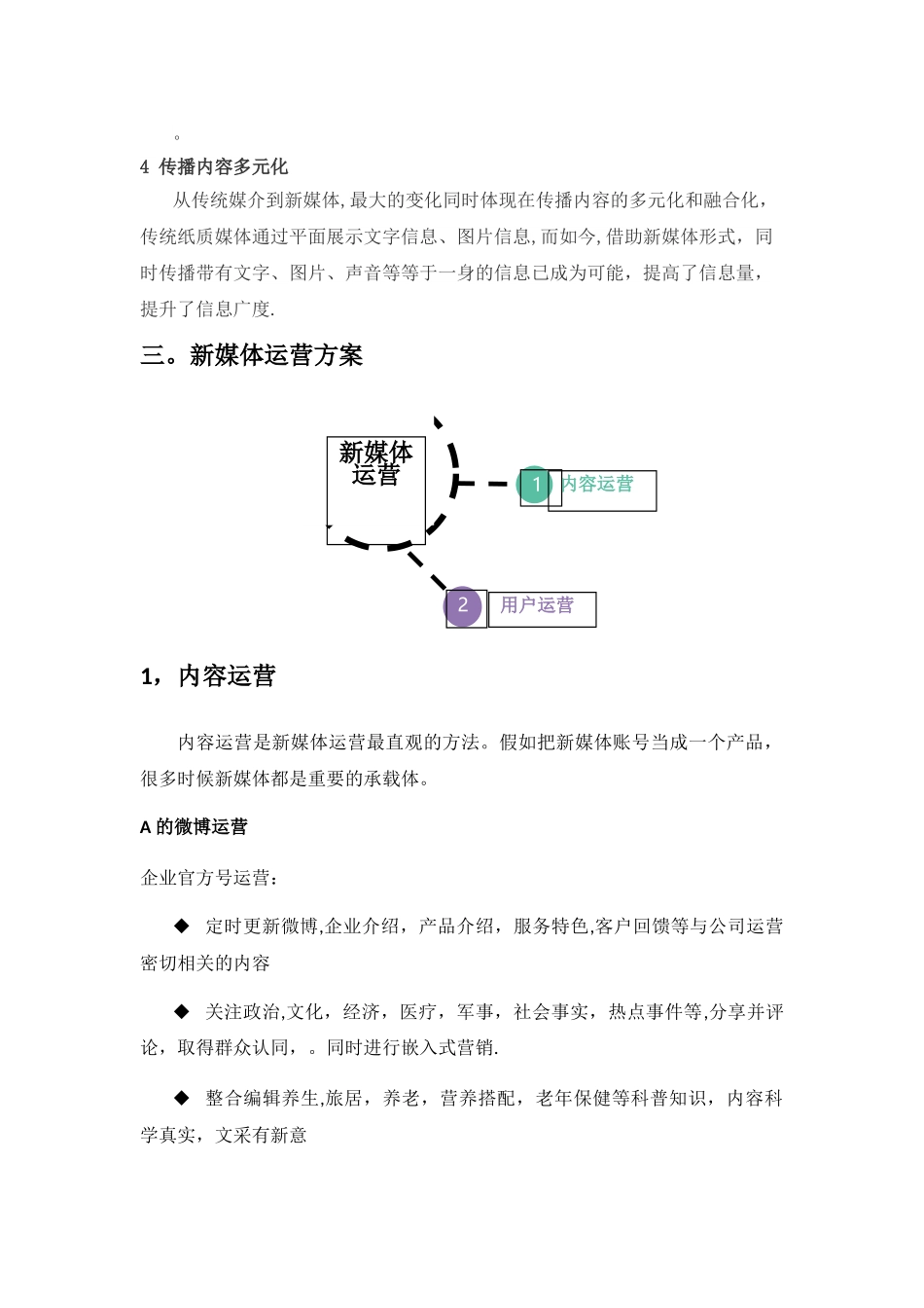 某新媒体运营方案_第2页