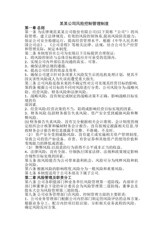 某某公司风险控制管理制度