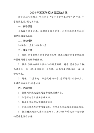 某某学校冰雪方案总结报表