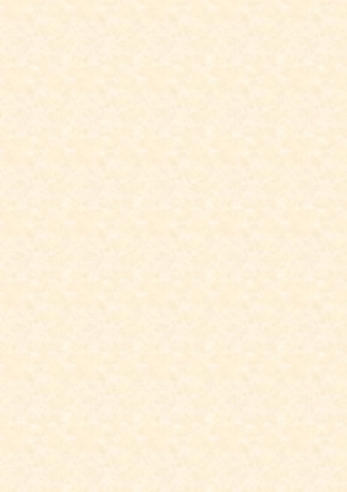 某集团公司绩效管理方案