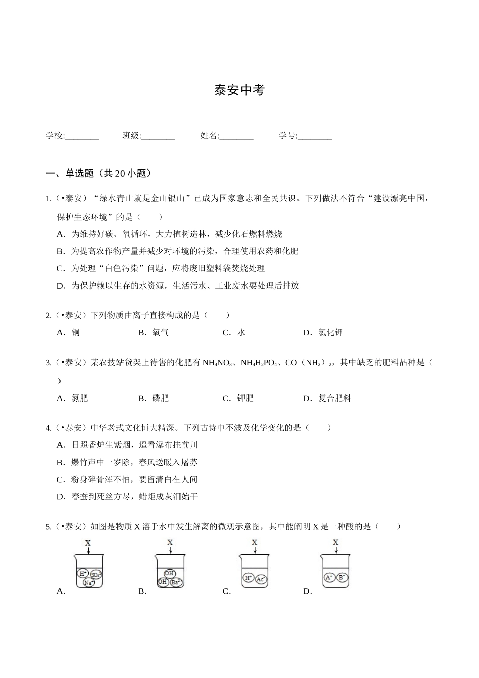2025年泰安中考化学真题解析版_第1页