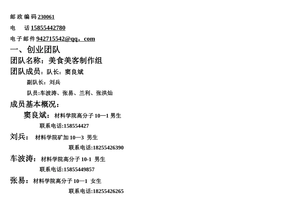 标准创业计划书模板_第2页