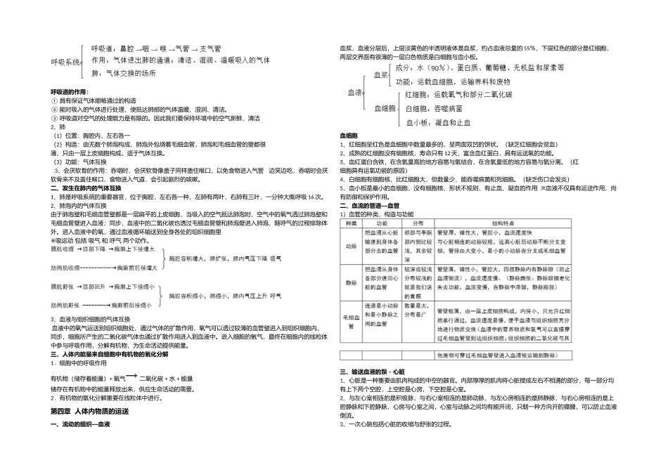 2025年人教七年级生物下册知识点汇总_第3页
