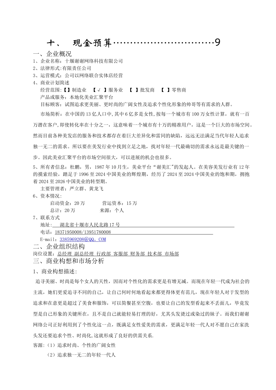 标准商业计划书范文_第2页