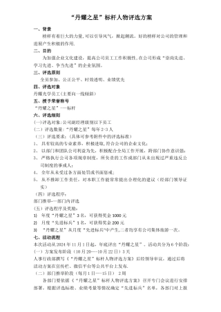 标杆评选方案