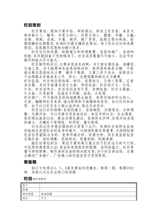 栏目制作预算表