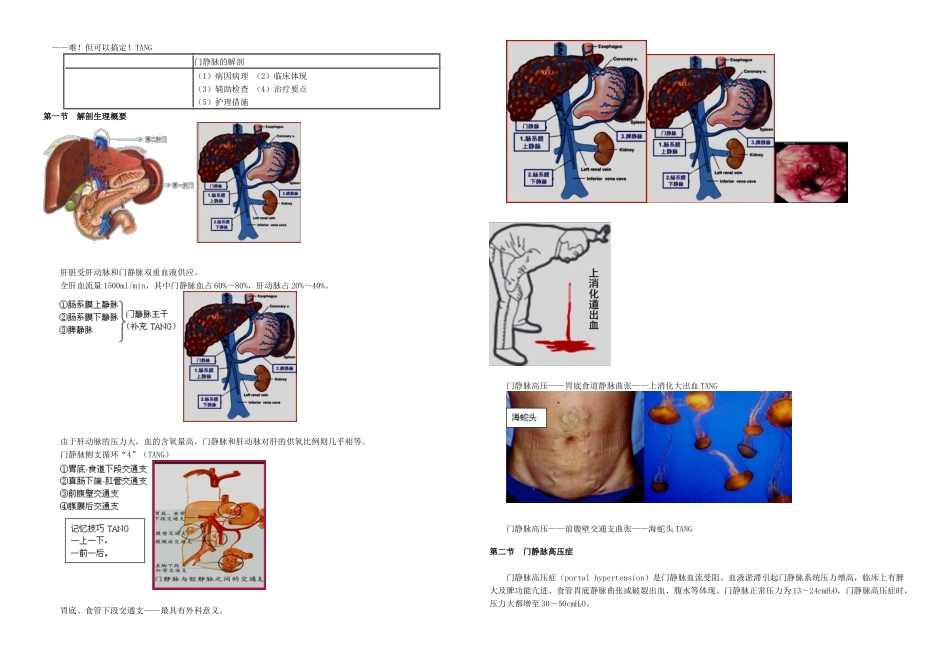 2025年主管护师外科讲义门静脉高压症病人的护理_第1页