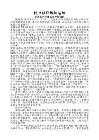 校长挂职锻炼总结