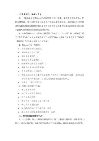 核心人才保留计划