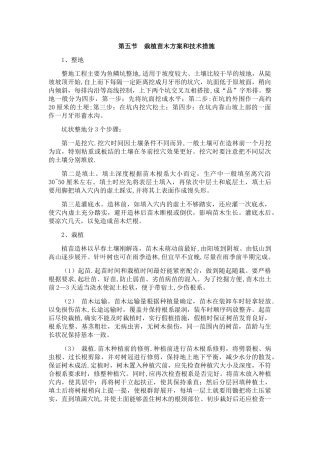 栽植苗木方案和技术措施