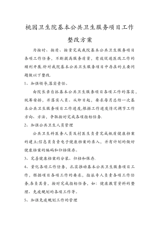 桃园卫生院基本公共卫生服务项目工作整改方案
