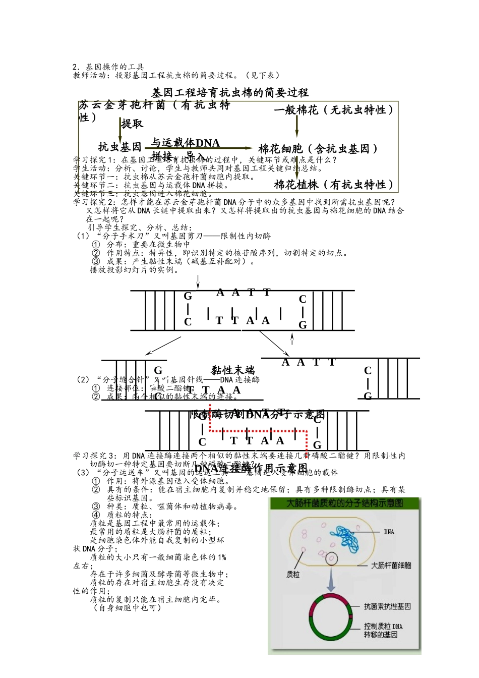 2025年高中生物选修3全套教案_第2页