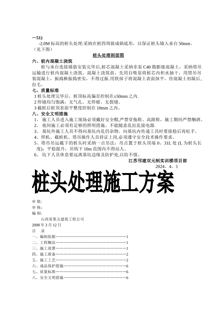 桩头处理施工方案_第2页