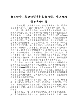 2025年关于年中工作会议暨乡村振兴推进生态环境保护大会报告