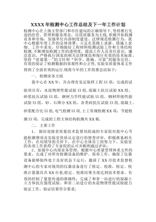 检测中心工作总结及下一年工作计划