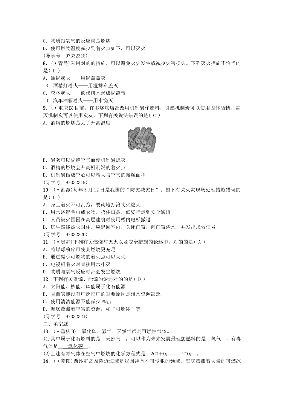 2025年中考化学总复习考点聚焦燃烧与灭火能源试题_第2页