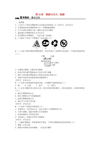 2025年中考化学总复习考点聚焦燃烧与灭火能源试题