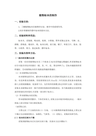 植物标本的制作
