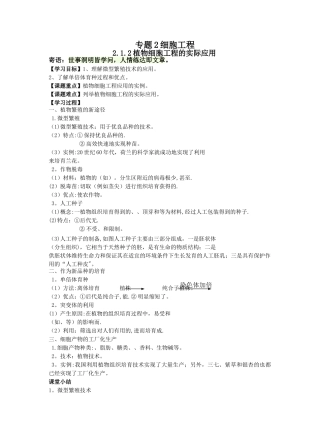 植物细胞工程的实际应用学案