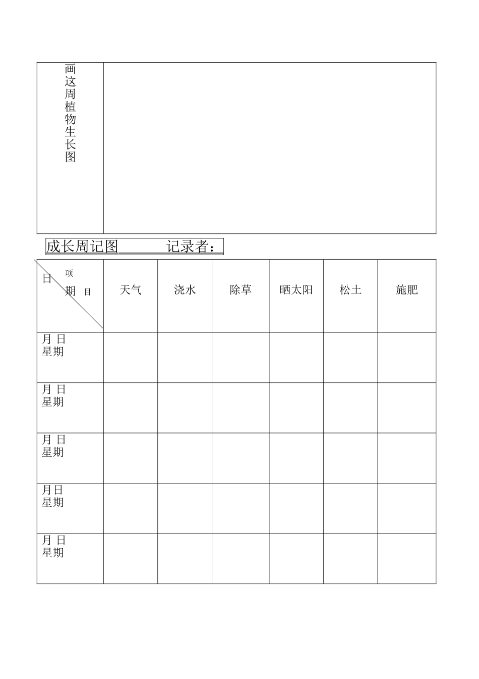 植物观察记录表05154_第3页