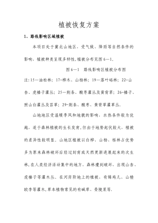 植被恢复方案