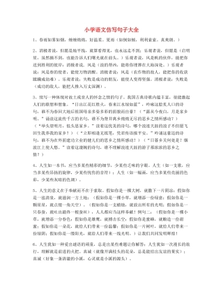 2025年小学语文仿写句重点练习小升初必看句式