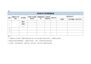 模板-项目技术产品考核指标表