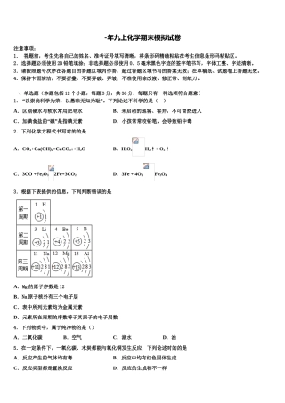 2025年安徽省合肥一六八玫瑰园学校九年级化学第一学期期末学业水平测试模拟试题含解析