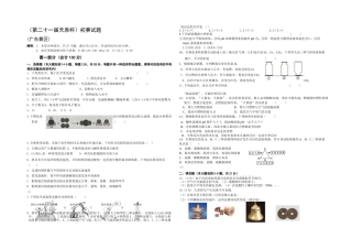 2025年全国初中学生化学素质和实验能力竞赛初赛试题和答案