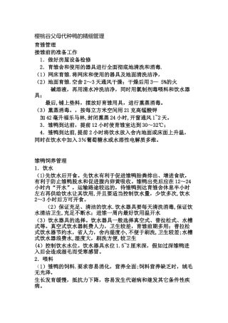 樱桃谷父母代种鸭的精细管理