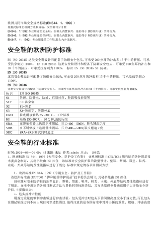 欧洲共同市场安全规格标准