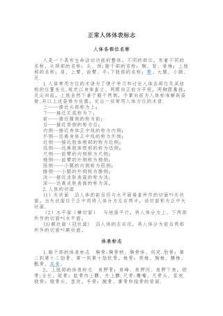 正常人体体表标志