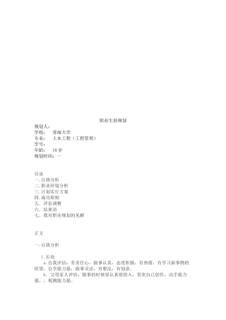 2025年十年职业生涯规划土木工程专业技巧归纳