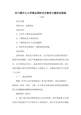 毒品预防安全教育主题班会教案