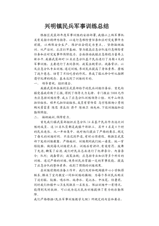 民兵应急分队训练总结材料