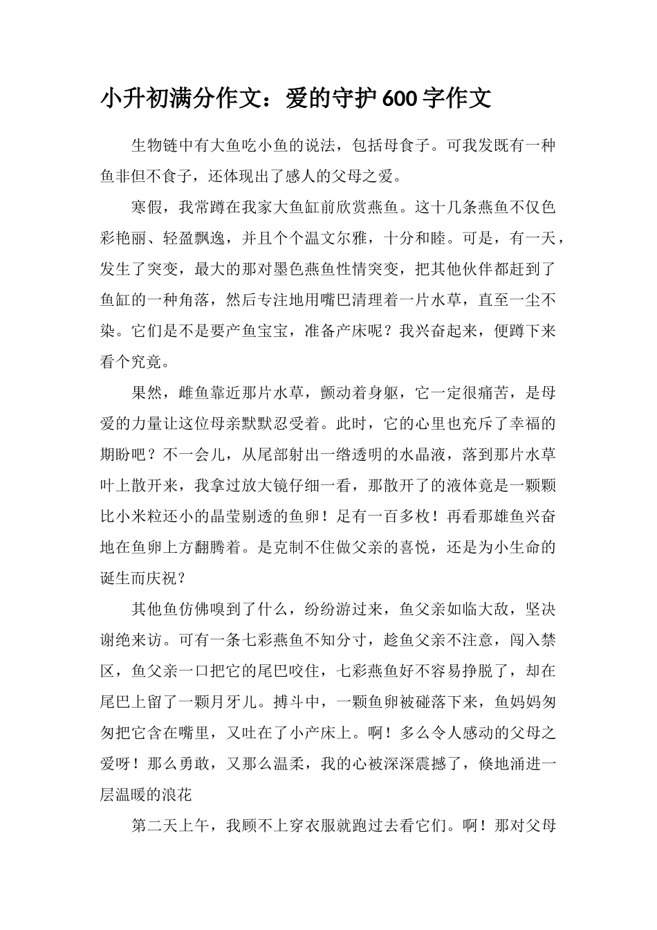 2025年小升初满分作文爱的守护600字作文_第1页