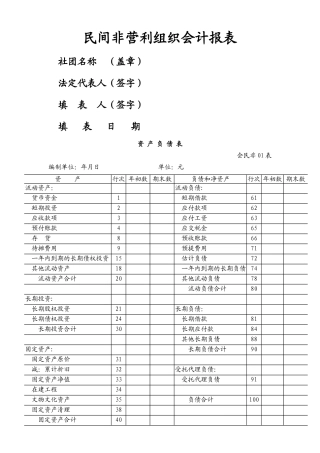 民间非营利组织会计报表