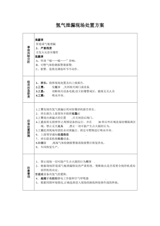 氢气泄漏现场处置方案